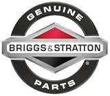 Briggs and Stratton 391654 Piston Ring Set Lawn Mower Replacement Parts [並行輸入品]