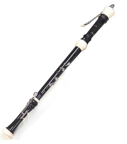 ☆【極美品】AULOS 533B E バスリコーダー ソフトケース付 リコーダー バスリコーダー 533B(E) ソフトケース付 バロック式