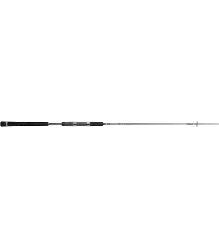 Canne Jackall Bambluz Extro BBXS-C64-SLJ – Baitcast 6'4", Pêche En Mer, Neuve