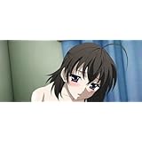 スクールデイズ SCHOOL DAYS SERIES COMPLETE BOX げっちゅ屋 特典 西園寺世界 B2 タペストリー/ごとうじゅんじ OVERFLOW