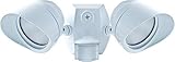 RAB Lighting SMSBULLET2X12NW Two Adjustable LED Floodlight with 180-Degree Detection Motion Sensor, 