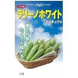 きゅうり 種 【 ラリーノホワイト 】 種子 小袋（約10粒）