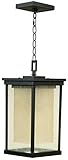 Craftmade Z3721-92 Hanging Lanterns with Tea-Stained Glass Shades, Bronze by Craftmade [並行輸入品]