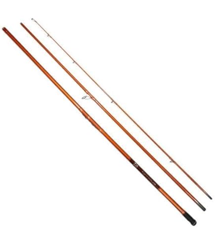 Amazon | ダイワ(DAIWA) 並継投げ竿 キャスティズム・R 25-430