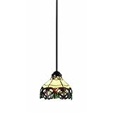 Z-Lite Z10-33MP Hudson One Light Mini Pendant, Metal Frame, Chestnut Bronze Finish and Multi Color T