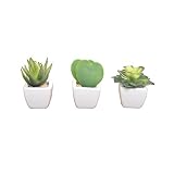 グリーン/観葉植物 光触媒 造花 プチハート多肉植物3点セット グリーン 人工植物 消臭 抗菌 防菌 ホルムアルデヒド 植物 人工 タバコ アートフラワー オフィス プレゼント