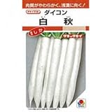 大根 種 白秋 2dl缶