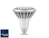 Muller Licht 15 Watt (120W) E26 LED PAR38 Replacement Bulb, Dimable, Warm White [並行輸入品]