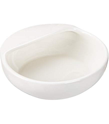 Amazon.co.jp: Sizikato 陶器製スプーンレスト 2個セット 9インチ