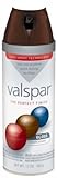 Valspar Premium Spray Paint Enamel [並行輸入品]