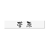 丸三タカギ 彫り込み済表札 アクリル APB1-W-1-3-菅原 【完成品】