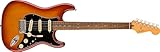 Fender エレキギター Player Plus Stratocaster®, Pau Ferro Fingerboard, Sienna Sunburst ソフトケース付き