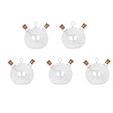 Flameer ガラス瓶（5本）　オイル　酢　ソース　2種液体保存可能　調味料入れ　キッチン　液体保存　ボトル　高品質