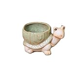 可愛いカメさん 多肉植物ポット 鉢植え 花 オブジェ [並行輸入品]