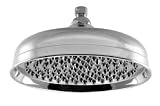 Aquabrassシャワー10 "ラウンドRainhead – ポリッシュクローム