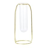 P Prettyia 水耕栽培　植物　花瓶　ボトル　ガラス　花瓶　容器　手作り　手工芸品　多種選べる - ゴールドトール