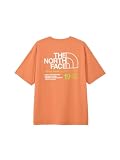 [ザ・ノース・フェイス] 半袖 カットソー Tシャツ ショートスリーブイーエス66ロゴワイドティー メンズ フェイドアイアンブロンズ M