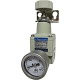 日本精器:日本精器 精密減圧弁6A4K BN-3RT1100-6-4K 型式:BN-3RT1100-6-4K