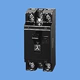 パナソニック電工 安全ブレーカHB型 15A 2P1E 100V 20個セット BS1111_set