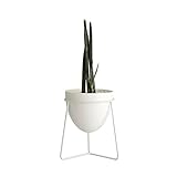 [roomnhome] スタンドプランター 植木鉢 モノスタンド植木鉢 サボテン鉢/花鉢 容器 プランター A Type (M, White)