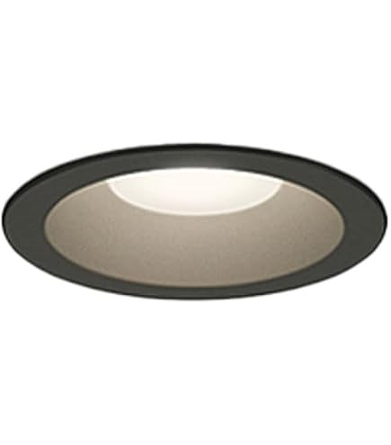 Amazon | パナソニック(Panasonic) 天井埋込型 LED[電球色
