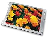 シャープ LQ080V3DG01 8.0 インチ 液晶パネル