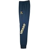 (ヒュンメル)hummel サッカー UT-スウェットロングパンツ(スリム) HAP8158SLP [メンズ]