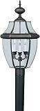 Forte Lighting 1604-03-14 Outdoor Post Fixture with Clear Beveled Glass Shades, Royal Bronze [並行輸入品]