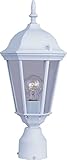 Maxim Lighting 1001 Westlake Outdoor Pole/Post Mount Lantern, White Finish, 8 by 19-Inch [並行輸入品]
