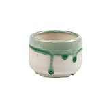 シンプルな多肉植物フラワーポットフローグレーズポットクリエイティブセラミックフラワーポット_A13