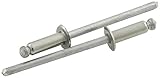 Allstar Performance ALL18196 Silver 1/8 - 1/4 Grip Range Steel Rivet (Pack of 500) [並行輸入品]