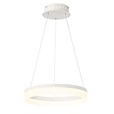 Eurofase照明31776 minuta Singleライト17 – 1 / 4 "ワイド統合LEDリングCha、 ホワイト 31776-011 1