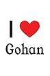 I Love Gohan: Dragon Ball Z Designer Notebook