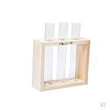 P Prettyia 木製フレーム 　花瓶　ハンギング　壁掛け　花　植物　試験管　チューブブラ　2個　創造的　インテリア