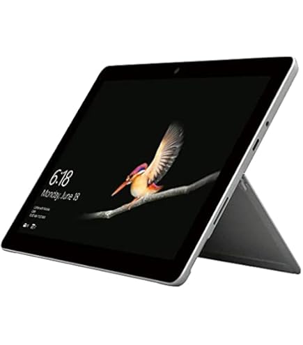 Microsoft Surface Go 4 256 GB 26.7 Cm (10.5) Intel N 8 GB Wi