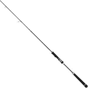 100 正規品 テイルウォーク メタルゾン S67mh Fsl Tz エギングロッド Www Svom Eu