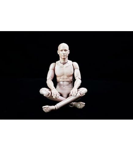 Amazon | 1/6 フィギュア 男性 素体 素体セット 2種類ヘッドコネクタ