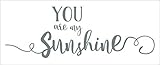 Wall Decor Plus More WDPM3759 You Are My Sunshine Wall Decal Vinyl Stickers For Nursery Decor 33 x 1