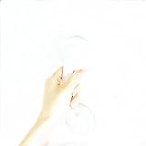 吸盤 取っ手 手すり 強力 ドア ハンドル 吸盤 工事不要　 ホワイト 2個セット