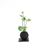 CUPBON ギンモクセイ 竹炭ボール 盆栽 造花 フェイクグリーン