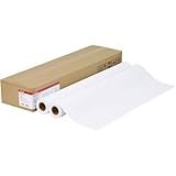 （まとめ買い） キヤノン プレミアム普通紙 610mm幅 2本入 LFM-PPP/24/80 【×3】