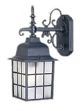 Acclaim 5302BK Nautica Collection 1-Light Wall Mount Outdoor Light Fixture, Matte Black [並行輸入品]