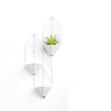 Plant shelf サスペンションフラワースタンド、アイアンフラワーラック壁掛けラウンドフラワーバスケット Flower racks ( 色 : D , サイズ さいず : 71*30CM )