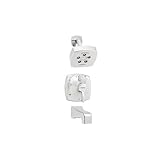 Tiber 1-Handle Tub and Shower Faucet, Chrome [並行輸入品]