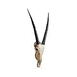 Design Toscano Gemsbok African Wall Trophy [並行輸入品]