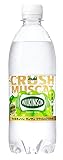 アサヒ飲料 ウィルキンソン タンサン クラッシュマスカット 500ml×24本 [ 炭酸水 ] [ 強炭酸 ]
