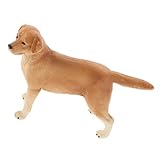 HAWILLOSCH チュア犬フィギュア ラブラドール犬の模型 子供向けのリアルな犬