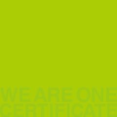 WE ARE ONE -Fickle Remix- / TRICERATOPS with HOME MADE �Ƒ�