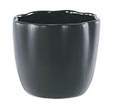 エフ フラワー ブラック 10cm 穴無し 6個入り ／花器