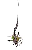 キーストーン 人工観葉植物 ブラウン 約W14×D10×H21.5cm